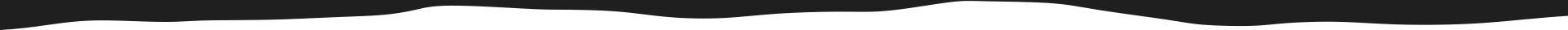 Footer divider
